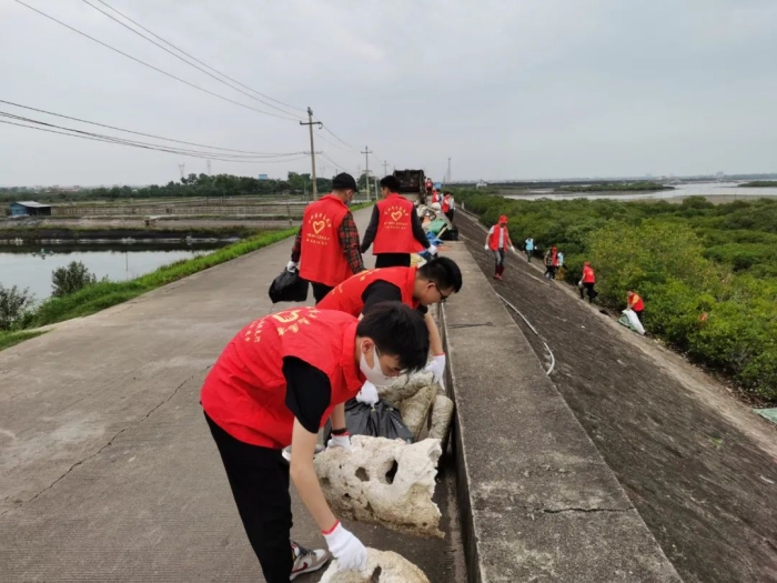东兴环保水务公司青年志愿者参加保护红树林活动